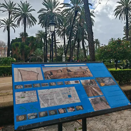Scalia Palermo