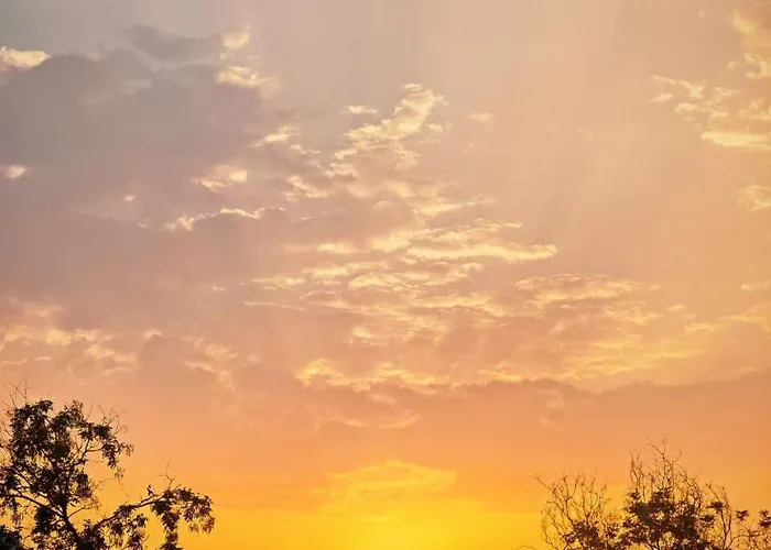 Scalia * Палермо